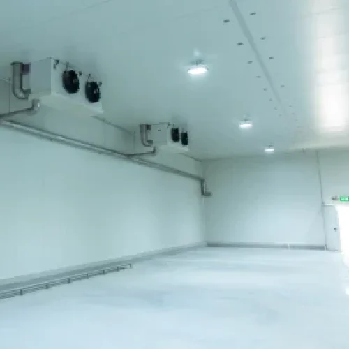 Cold Storage Room